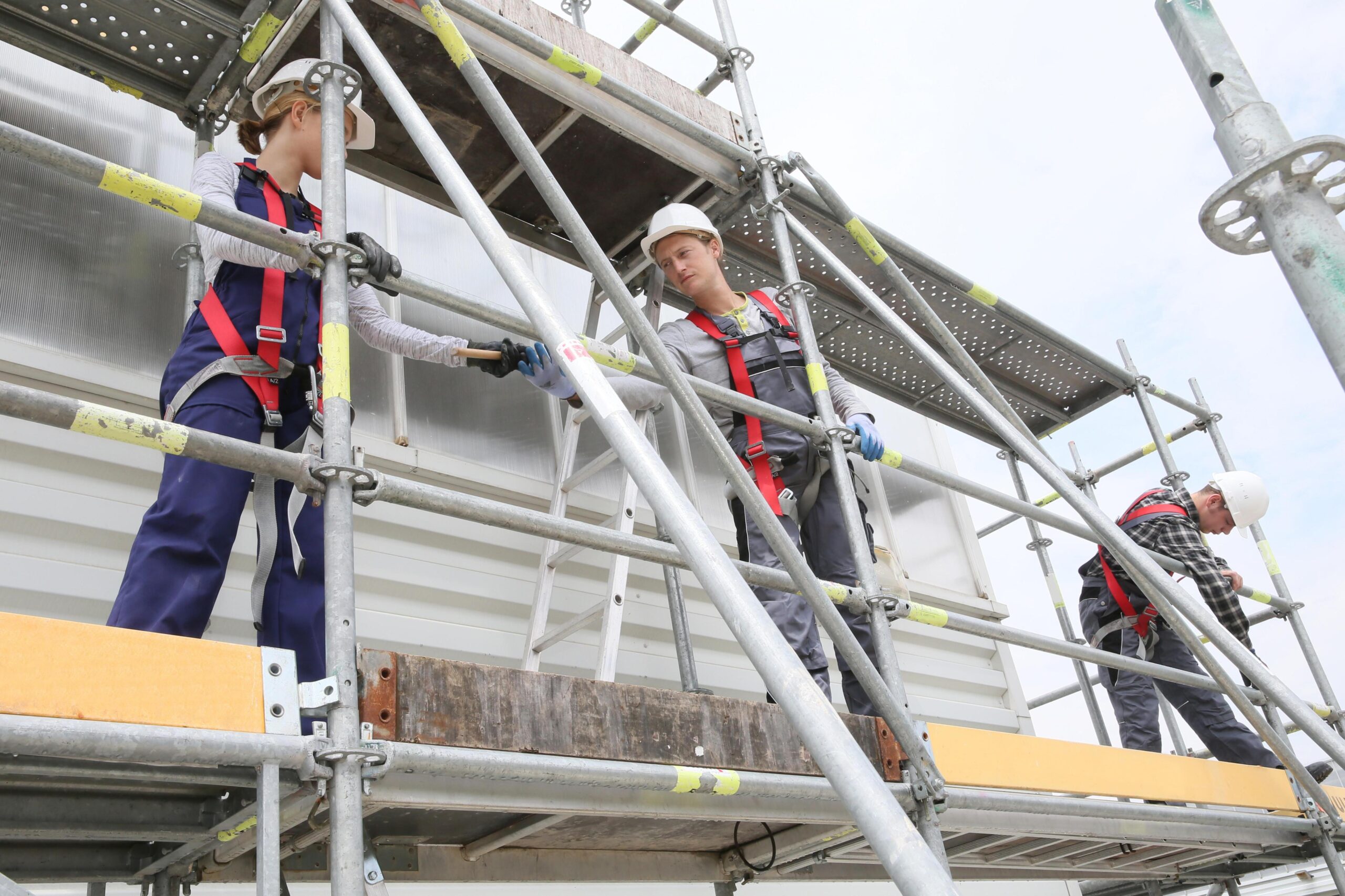 scaffolding img 2